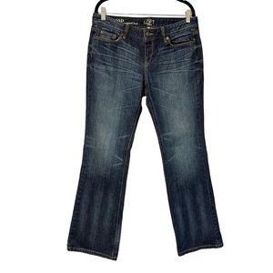 Loft Original Bootcut Jeans 10 Petite 10P 30